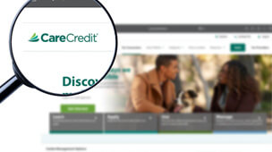 magnifying glass hovering over a carecredit logo